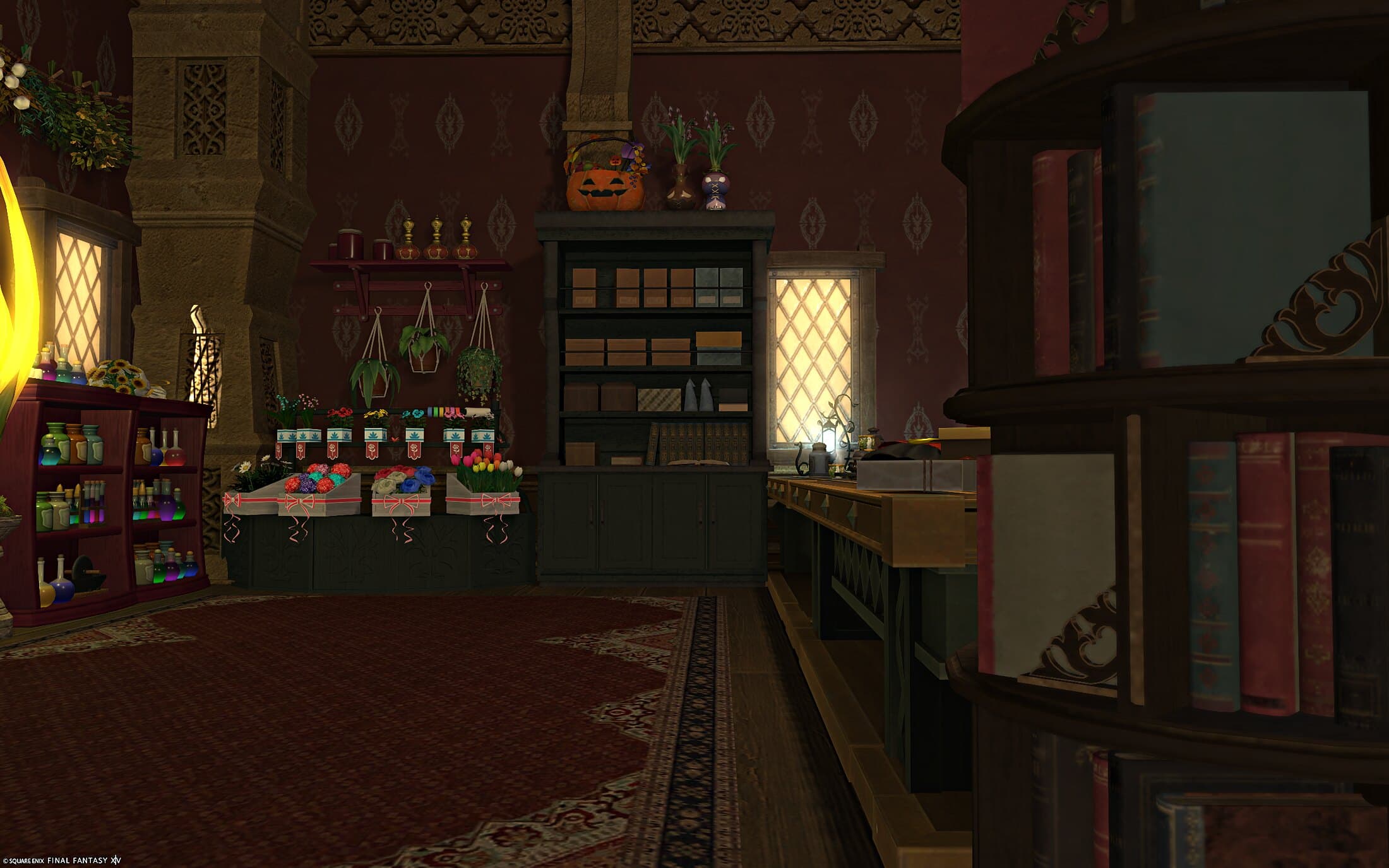 The shop seen from the doorway — a long counter, racks of coloured potions and a curved dark-wood bookcase